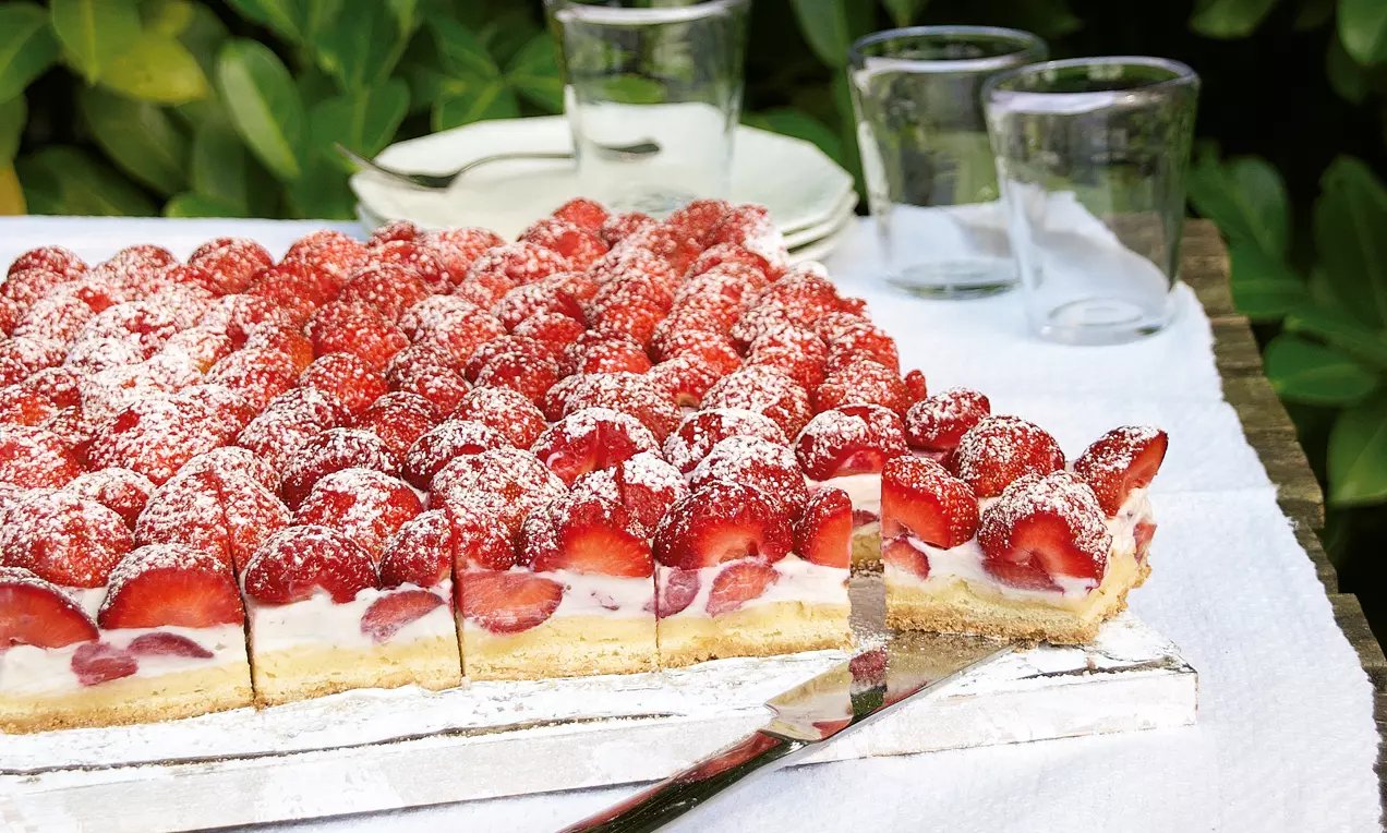 Rechteckiger Kuchen mit goldbraunem Boden, weißer Ricotta-Joghurt-Creme und leuchtend roten Erdbeeren, bestäubt mit Puderzucker auf einem Gartentisch