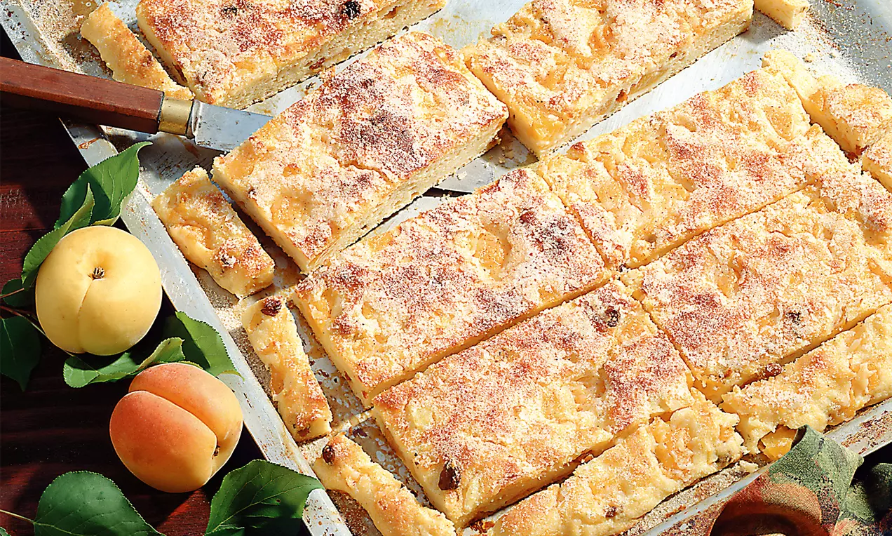 Rechteckig geschnittener Kuchen mit goldgelber Oberfläche und feinem Zimtzucker, auf Backblech mit frischen Marillen und grünen Blättern drapiert