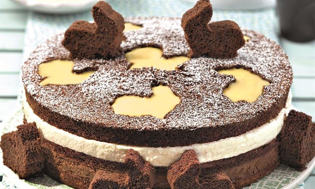 Schoko-Torte mit Eierlikör-Obers Rezept | Dr. Oetker